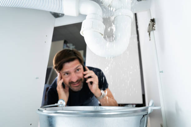 Best Plumbing Services Near Me  in Eagle Lake, MN